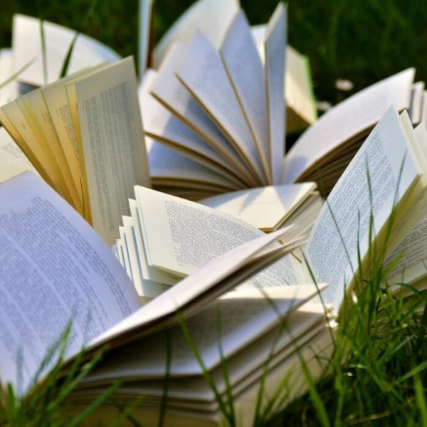 How to Write Book Reviews Readers Actually Trust